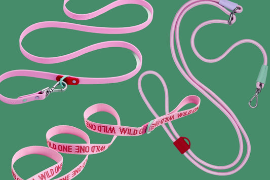 Which Leash Is Right For Your Dog?