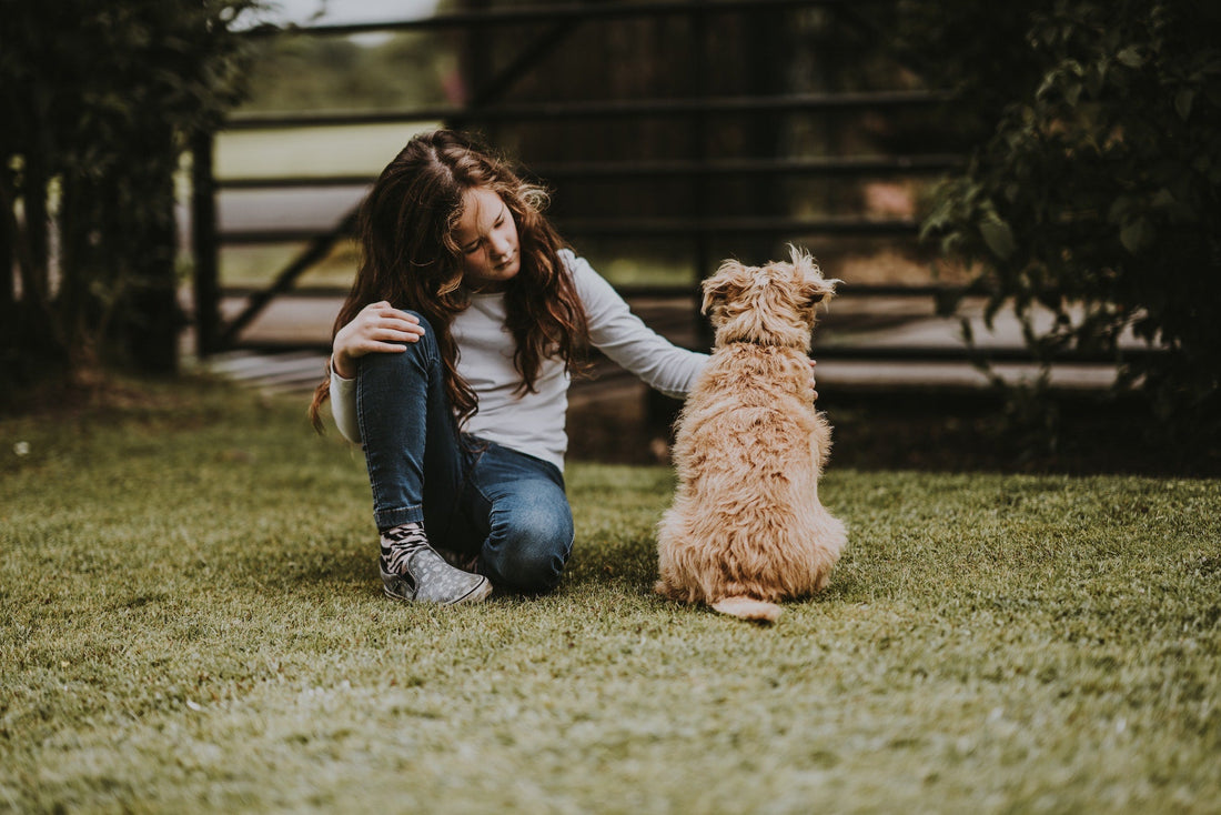 Good Pets for Kids: Rescue Dogs, Kid friendly dog breeds, best family dogs, dog adoption, dog shelters, how to adopt a dog, dog rescues