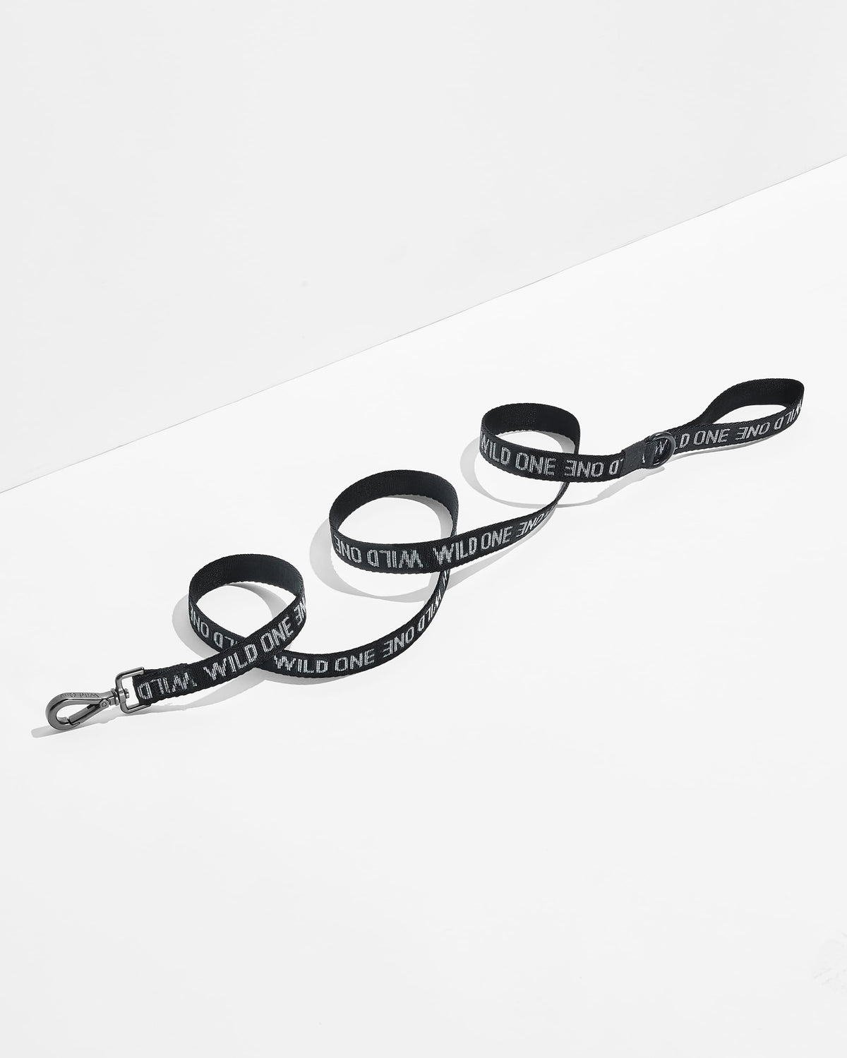 Cushioned Harness + Lightweight Leash Walk Kit